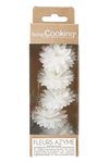 Scrap Cooking 5er Set Dahlien aus Esspapier weiss