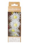 Scrap Cooking 18er Set Margeriten aus Esspapier