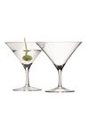 LSA 2er Set Bar Martiniglas 180ml Klar