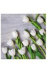 PAW Servietten Tulpen