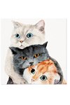 PAW Servietten Better Together
