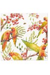 PAW Servietten Exotic birds