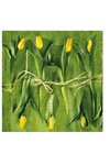 PAW Servietten Tulips