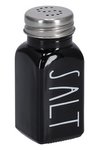 ZELLER Salzstreuer Salt schwarz