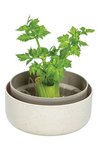 PLASTIA Keimsprosskit Urbalive für Microgreens elfenbein kaffee