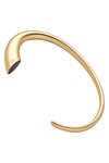 PHILIPPI Taschenhaken C mattgold