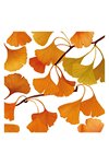 PPD Servietten Ginko