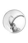 STEINLIN Teller flach Steinbock weiss 21 cm
