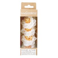 Scrap Cooking 4er Set Kamelien aus Esspapier