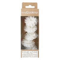Scrap Cooking 5er Set Dahlien aus Esspapier weiss