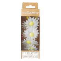 Scrap Cooking 18er Set Margeriten aus Esspapier