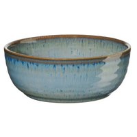 ASA Selection Poké Fusion Bowl tamari