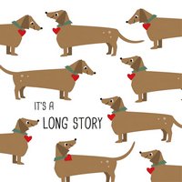 PPD Servietten Long Story