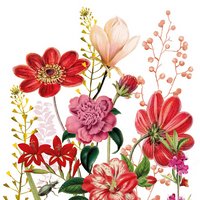PPD Servietten Floria