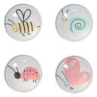 ZELLER Magnet Insekten