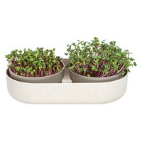 PLASTIA Set Keimsprosskit Urablive Microgreens elfenbein kaffee