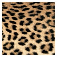 PPD Servietten Leopard Couture