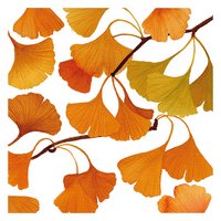 PPD Servietten Ginko