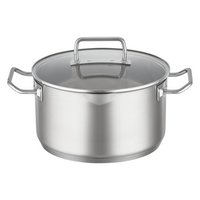 RÖSLE Kochtopf mit Deckel Expertiso 20 cm
