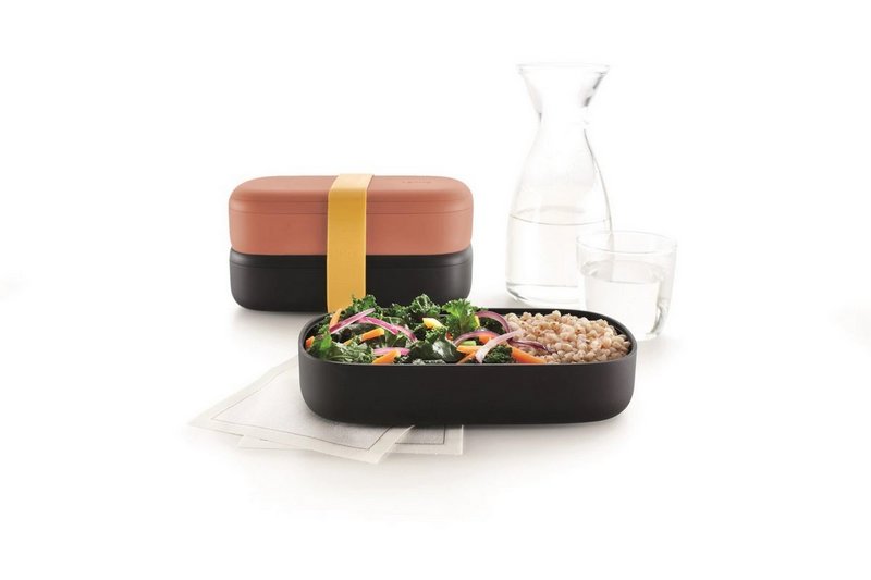 Lunch Box mit Besteck korall 