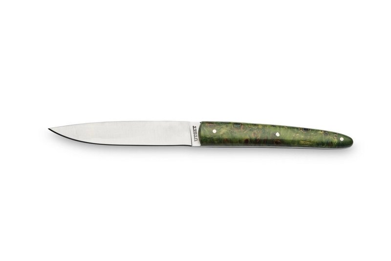 comas Utset Steakmesser Grün 
