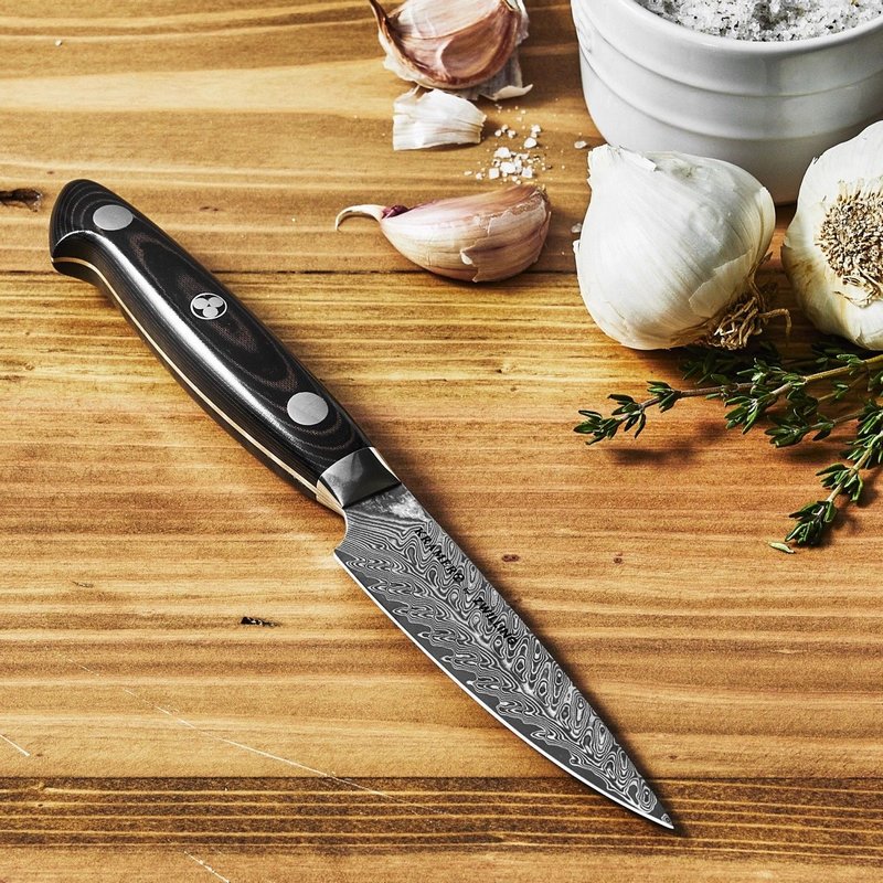 Zwilling Kramer Euro Stainless Kochmesser 26cm 