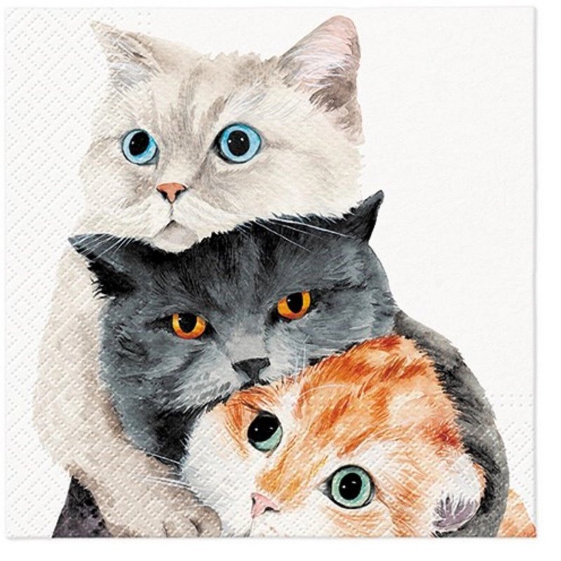 PAW Servietten Better Together 