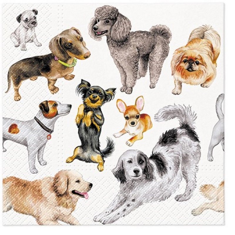 PAW Servietten Dogs Happiness 