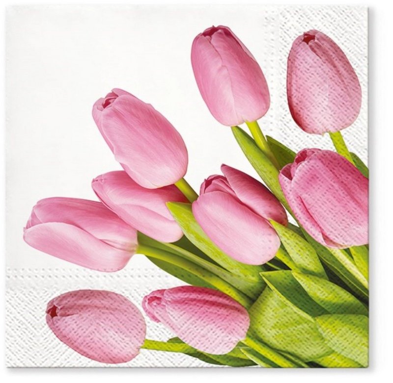 PAW Servietten Tulpen rosa 