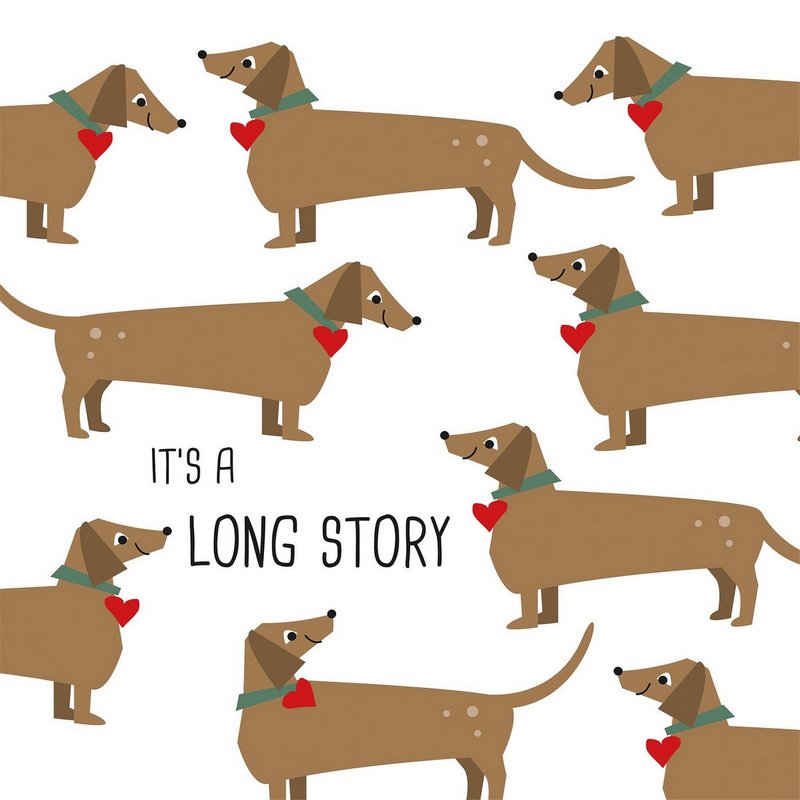PPD Servietten Long Story 