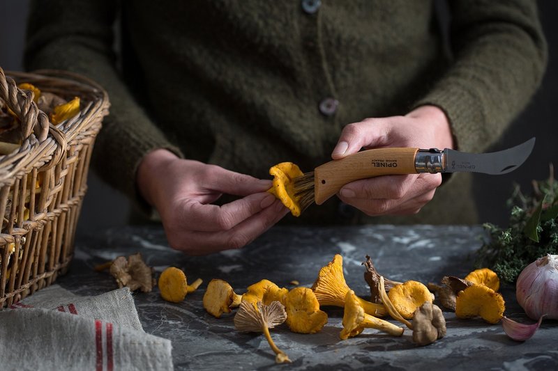 OPINEL Pilzmesser Nr 8 Eichenholzgriff 