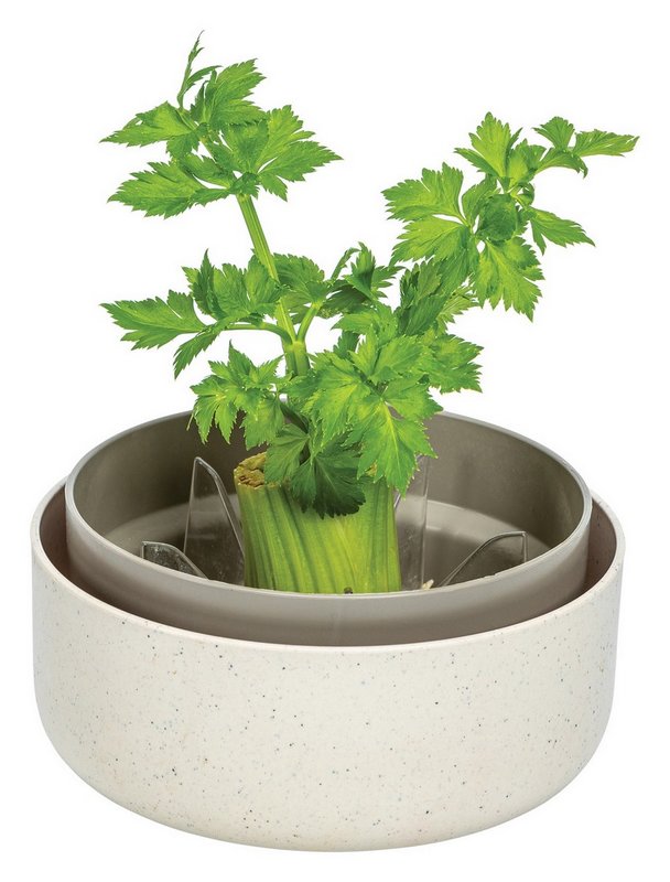 PLASTIA Keimsprosskit Urbalive für Microgreens elfenbein kaffee 