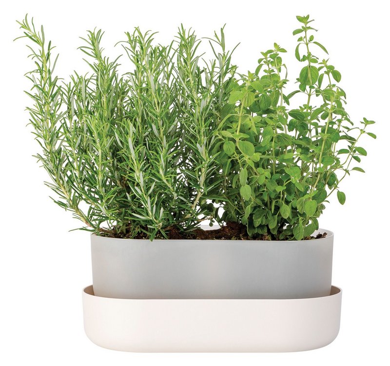 PLASTIA Blumenkasten mit Untersetzer Tolita elfenbein 31 cm 