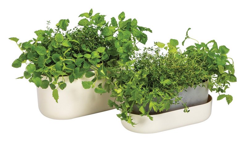 PLASTIA Blumenkasten mit Untersetzer Tolita elfenbein 31 cm 