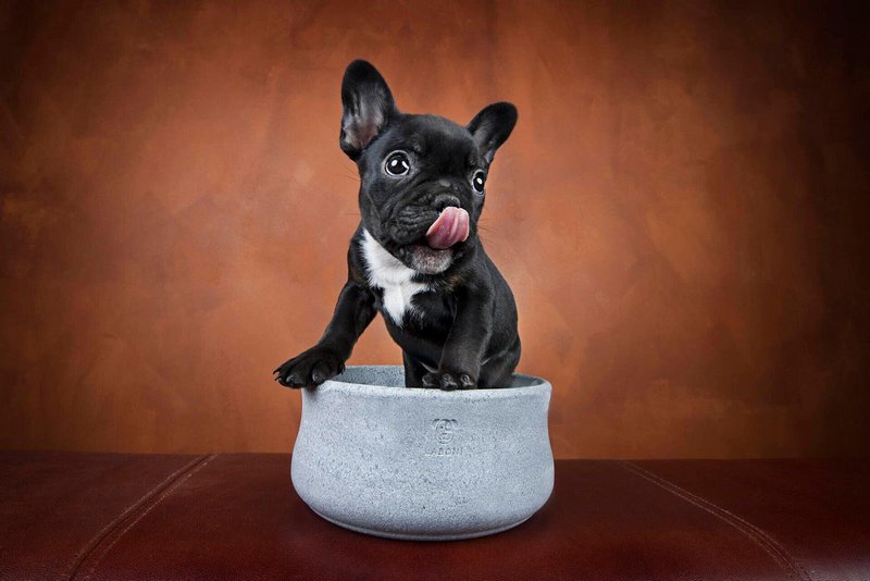 LABONI Napf Rocky Speckstein 0.5 l 