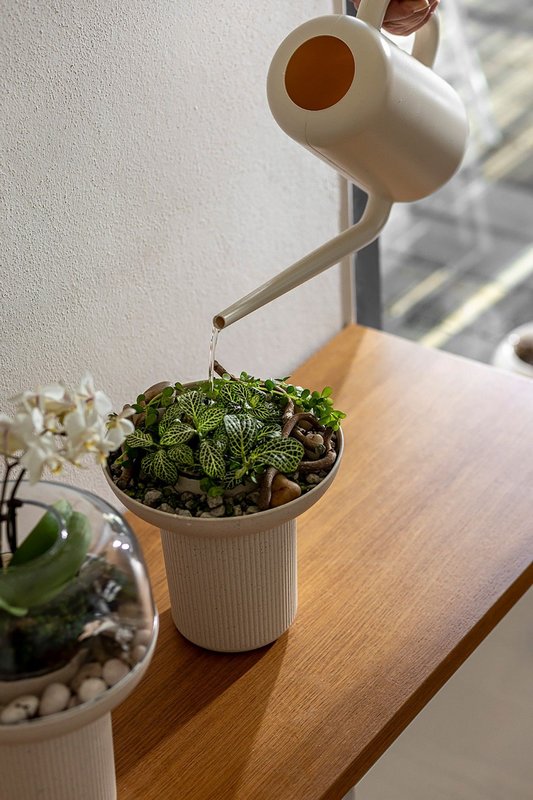 PLASTIA Pflanzengefäss Humidarium ivory withe coffee 26.5x20 cm 