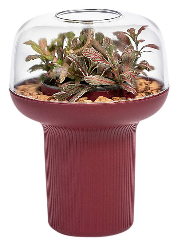 PLASTIA Pflanzengefäss Humidarium bordeaux 26.5x20 cm 