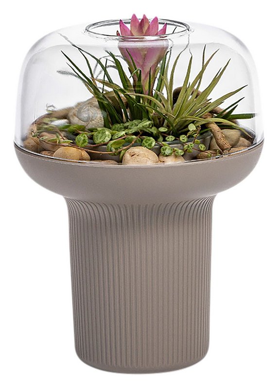 PLASTIA Pflanzengefäss Humidarium taupe 26.5x20 cm 