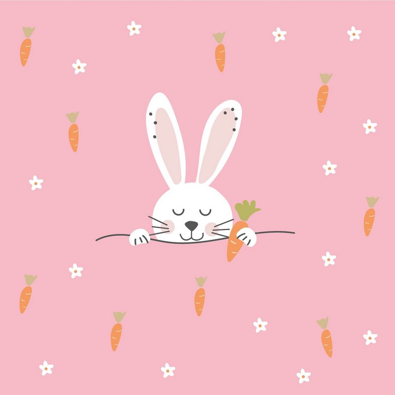 PPD Servietten Easter Carrots 