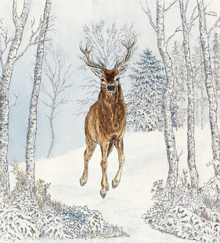 PPD Servietten Cerf Hiver 