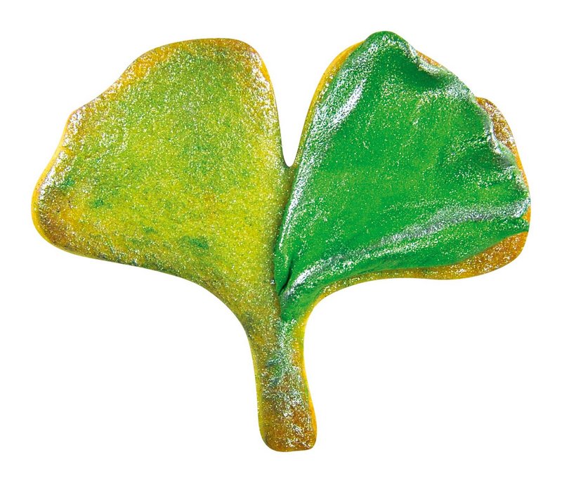 STÄDTER Ausstecher Ginkgoblatt 6.5 cm 