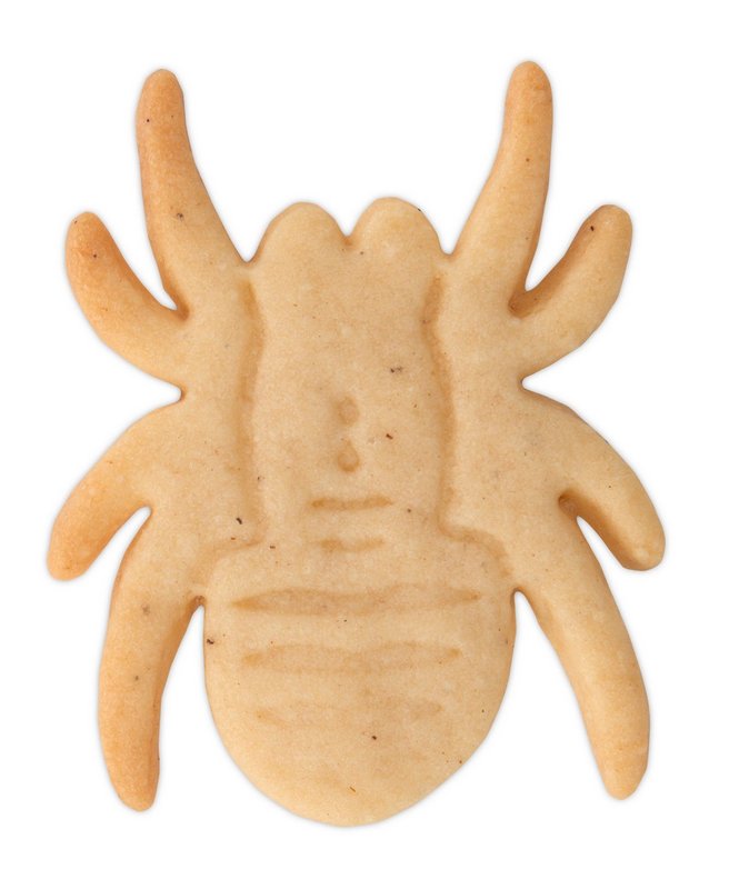 STÄDTER Präge-Ausstecher Spinne 