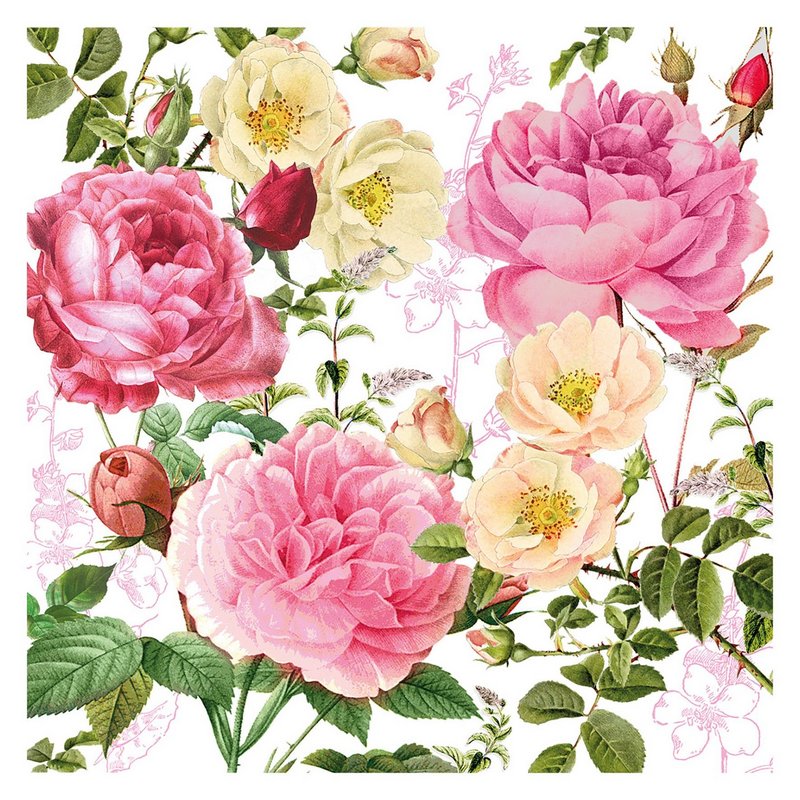 PPD Servietten Rosalie 