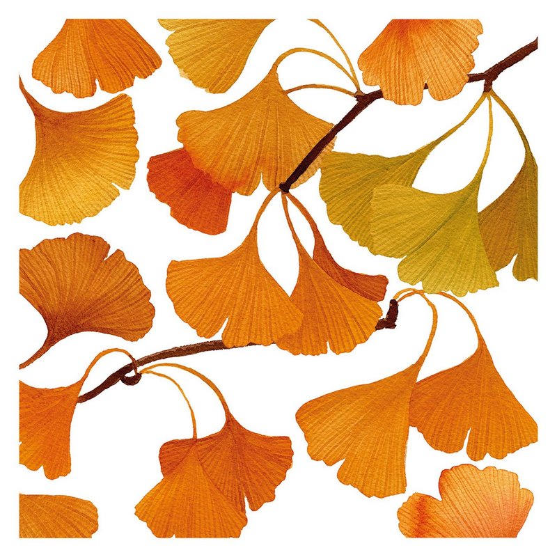 PPD Servietten Ginko 