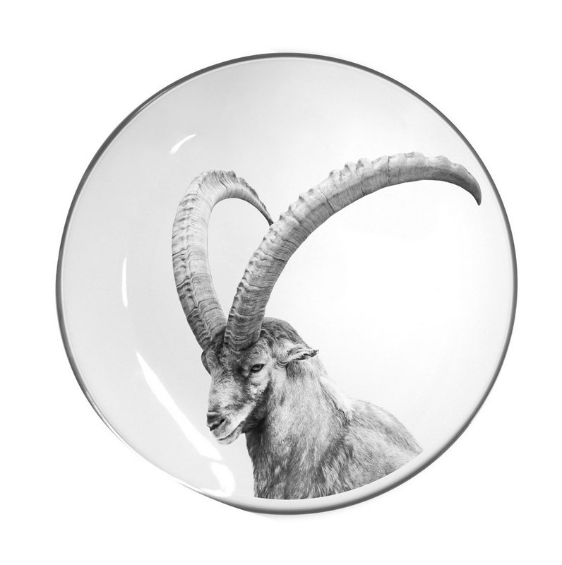 STEINLIN Teller flach Steinbock weiss 21 cm 