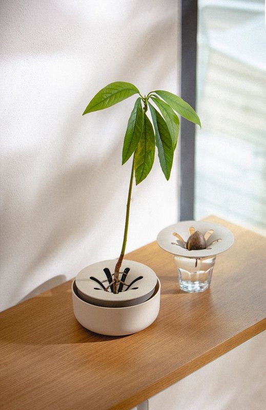 PLASTIA Hydrokultur-Schale Urbalive für Avocado elfenbein kaffe 
